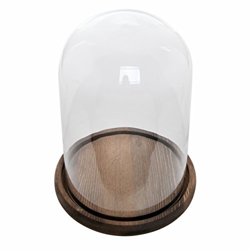 Mygift 8-Inch Clear Glass Cloche Dome Decoration Case, Decorative Tabletop Centerpiece Cloche Jar With Rustic Dark Brown Wood Base #TOP3