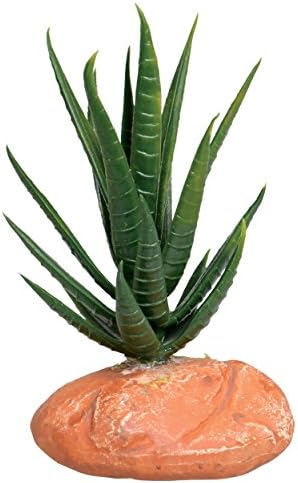 Reptile Treasures 23816 Aloe Vera, Small, Green