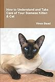 How to Understand and Take Care of Your Siamese Kitten & Cat