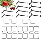 WEFHEF 40 Stück Astspreizer für Obstbäume, 15 Obstzweigspreizer aus Hartplastik und 15 M-Förmiger Astspreizer Halter Astklammern Spreizeraststütze Pflanzenstamm-Trainer Zweigspreizer für Gartenzweige