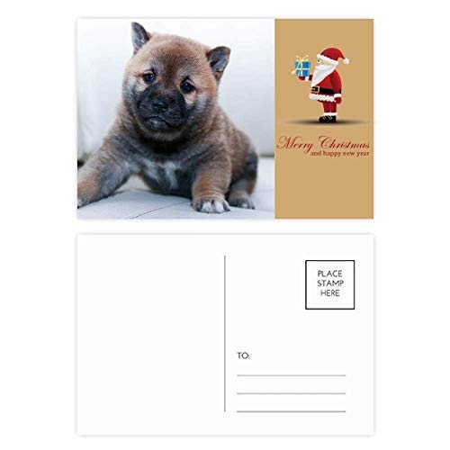 Cartes postales Noël Pippy : partagez la joie des fêtes avec ce lot de 20