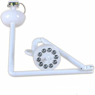 TDOUBEAUTY Surgery Lamp 30W Ceiling lamp Oral Implant Surgery Shadowless Lamp Animal Disposal Room Hand Shadowless Light Surgical Examination lamp (90V-240V)