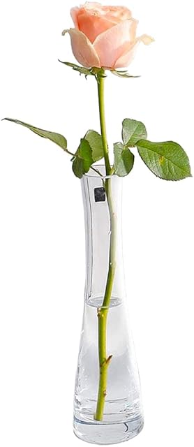 Bamboopack Hand-Made Blown Art Bud Glass Vase Small Glass Vase Single Stem Vase for Flower and Office Bud Home Decor (Clear)