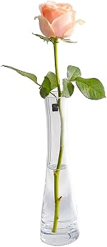 Hand-Made Blown Art Bud Glass Vase Small Glass Vase Single Stem Vase for Flower and Office Bud Home Decor Clear