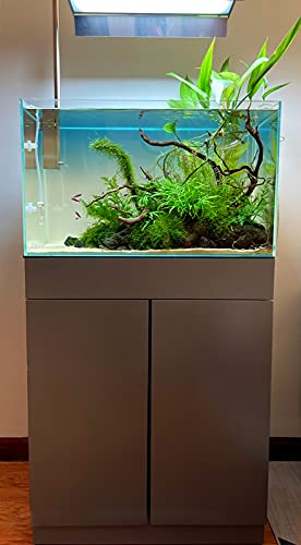 Image of Allcolor Artisan Grade Ultra Clear Rimless Aquarium Tank (21Gal) | Low Iron Glass Fish Tank for Professional Aquascaping and Planted Layouts, 6-60 Gallons (21Gal - Top Glass Canopy)