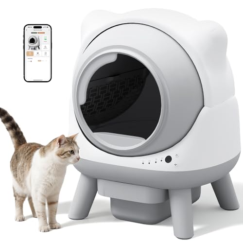 Say Goodbye to Scooping &ndash; Your Cat's New Best Friend