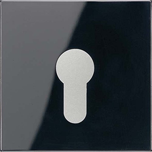Jung LS925SW enjoliveur noir pour commande de porte de garage et portail