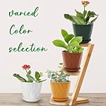 6 inch Plant Pots, 5 Pack Flower Pots Outdoor Indoor, Planters with Drainage Holes and Tray Saucers - Image 5