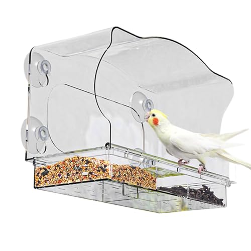 Comedero para pájaros de acrílico transparente que evita semillas mojadas 2