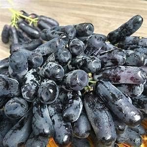 MITRAEE Semillas de uva de dedo negro raras, semillas de frutas orgánicas, crecimiento natural, plantas trepadoras de uvas, bricolaje para el hogar,