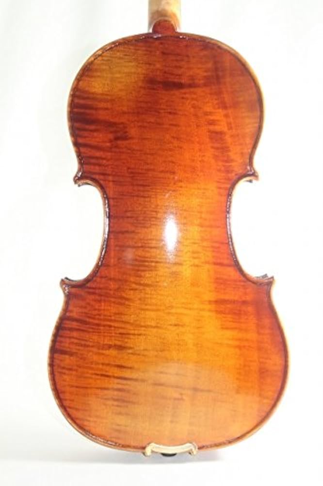 Amazon | シュタイナー ライオン・ヘッド バイオリン Jacob