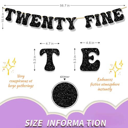 Twenty Fine Banner – Funny 25th Birthday Decorations, Cheers to 25 Years Party Supplies, Vintage-Inspired 25th Birthday Sign for Men & Women (TWENTY FINE) by cutylight - Used condition - Image 2