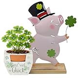 MIJOMA Juego de la suerte con cerdo de la suerte y trébol de la suerte en maceta de barro, regalo y decoración, plantas de trébol DIY, idea de regalo para el cambio de año