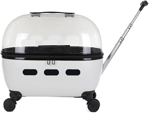 KryZaro܂肽ݎybgL[J[g LX^[t + ʋC + яoh~ ^E^Lp s