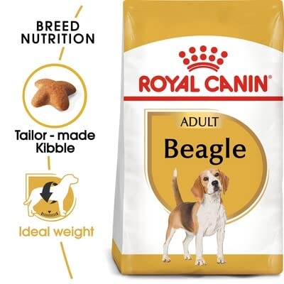 Royal Canin Beagle Trockenfutter für erwachsene Hunde, 12 kg