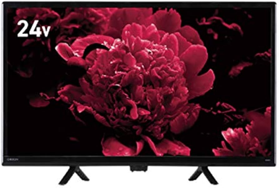 ORION 24V型 デジタル ハイビジョン LED液晶テレビ OL24WD100