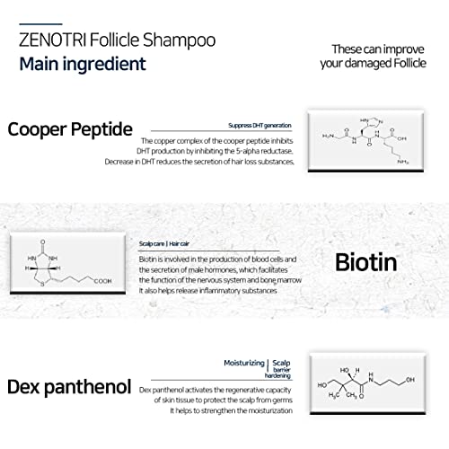 Zenotri Follicle Shampoo Hair Loss Zero With Copper Peptide, Biotin, Dexpanthenol/Genetic Hair Care Solution #TOP2