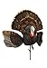 MOJO Scoot-N-Shoot MAX Tom Turkey Hunting Decoy with Realistic Fan