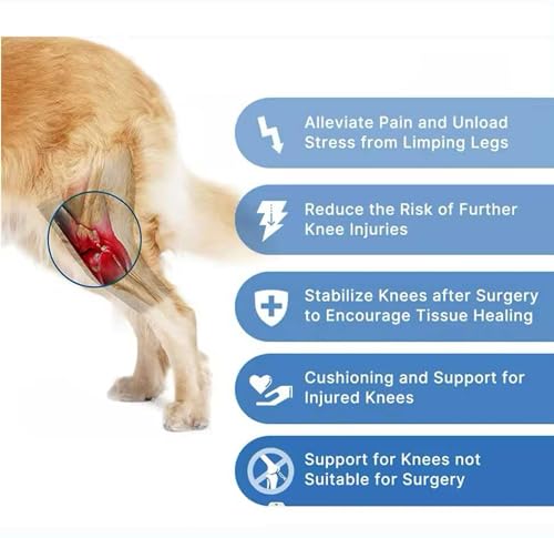Image of Dog Leg Braces, Dog Knee Brace, Dog Hip Brace, Cruciate Care Knee Brace for Dogs (Small)