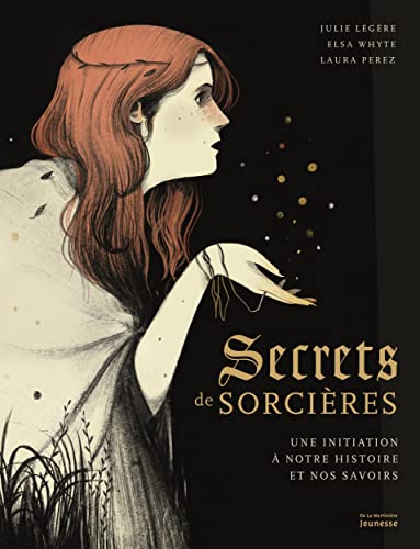 Secrets de sorcières: Une initiation à notre histoire et nos savoirs