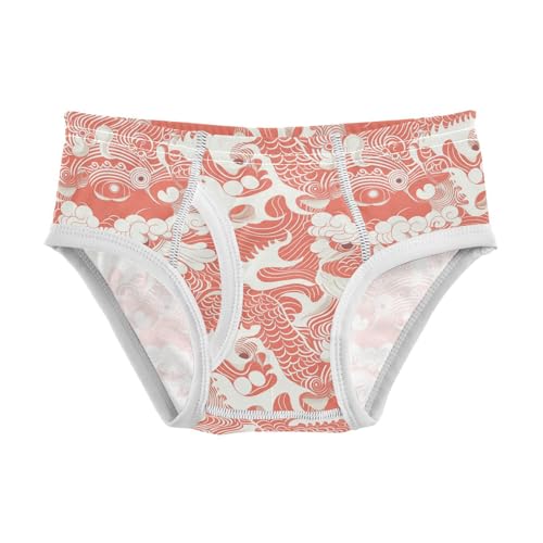 visesunny Boys Potty Training Underwear Vintage Lion Paper Cutout Breathe Cotton Briefs Size 2T-8Y for Toddler