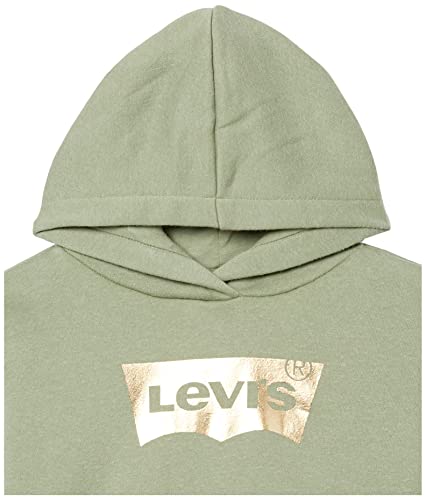 Levi's Girls' High Rise Pullover Hoodie4