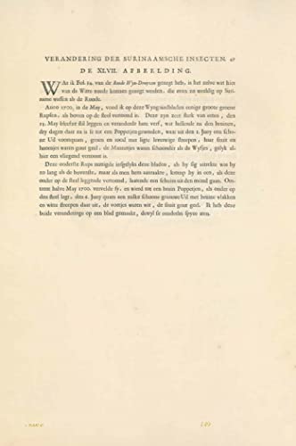 Maria Sibylla Merian: Metamorphosis Insectorum Surinamensium