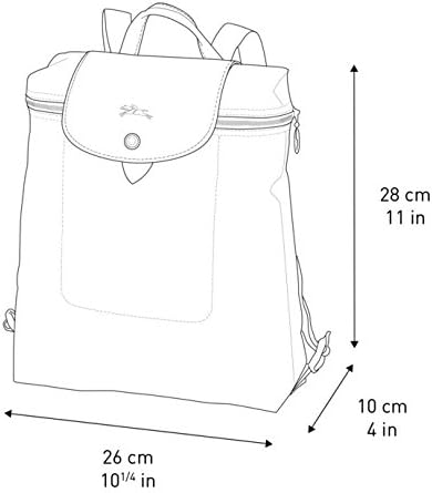 longchamp backpack size cm