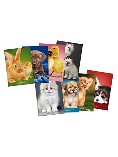 Blasetti - Cahier Maxi chiots première primaire 10 pièces - bla-6593 Cover