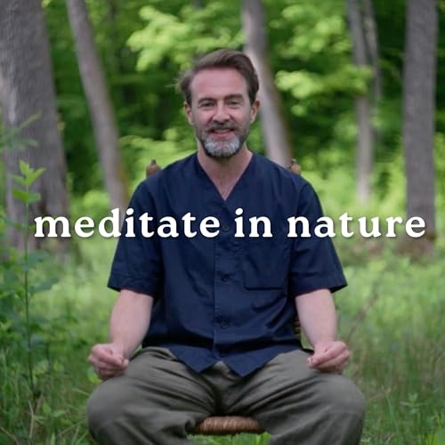 Morning Meditation in the Forest with Nature Sounds