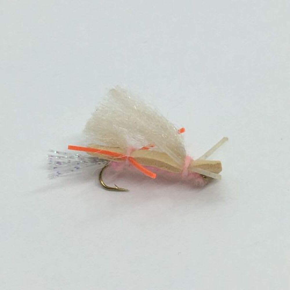 One Dozen (12) - Chubby Chernobyl - Tan and Pink - Terrestrial