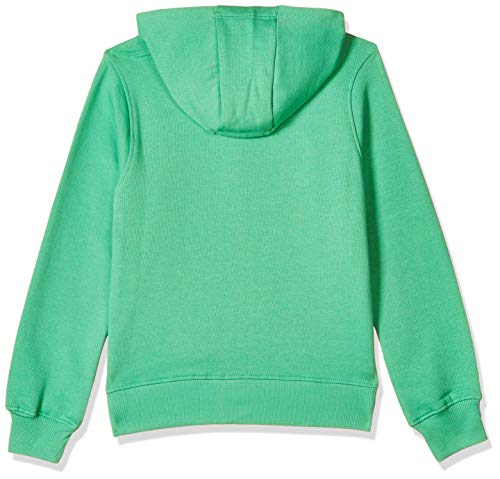 Image of Amazon Brand - Jam & Honey Girl's Cotton Winter Regular Fit Hooded Sweatshirt
