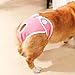 leasote Washable Dog Diapers, Pet Menstrual Pants Female Dog Diapers Sanitary Panties Breathable Dog Period Pads Underwear for Small Medium Dogs Pink M