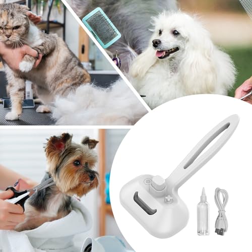 Removedor de pelo multifuncional con vapor 3