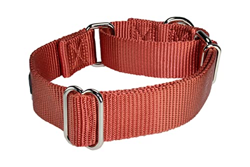 Mikivery Martingale Hundehalsband, Nylon, verstellbar und Sicherheitstraining, Ziegelrot, Karamell, Bequeme Metallschnalle, Haustierhalsbänder für kleine, mittelgroße und große Hunde