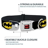 Buckle-Down Hundehalsband mit Schnalle, Batman-Schild, Schwarz/Gelb, 1.5' Wide - Fits 16-23' Neck - Medium, Mehrfarbig