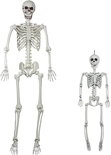 41au4n4363L._AC_ SUNREEK 2 Set Moving Halloween Skeleton - Full Body Skeleton Bones with Movable Joints for Halloween Decoration, Scary Scene, Party Decoration (1.6m & 0.9m)