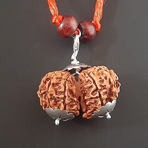 Danegems Gauri Shankar Rudraksha Silver Capping Genuine & Natural Nepali गौरी शंकर रुद्राक्ष Original Certified Beads for Men & Women