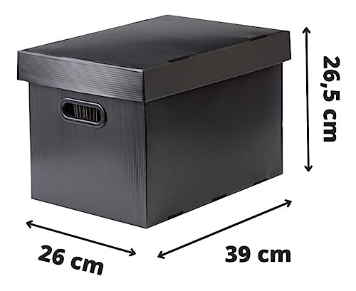 Polycart 4313, Caixa Organizadora com 10 Pastas Suspensas. Xadrez, Multicor