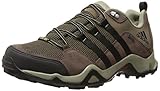 Adidas Outdoor Men's Brushwood Mesh Gtx Hiking Shoe
