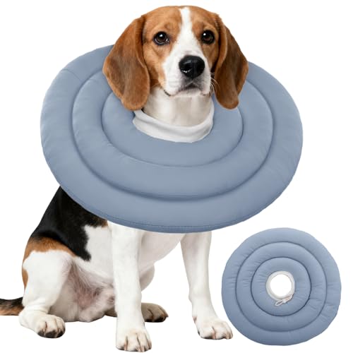 Why do dogs wear cones