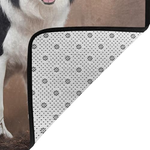 Tapis de salon imprimé Border Collie grand format pour protéger le sol des griffures