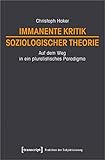  Immanente Kritik soziologischer Theorie: Auf dem Weg in ein pluralistisches Paradigma (Praktiken der Subjektivierung, Bd. 17)