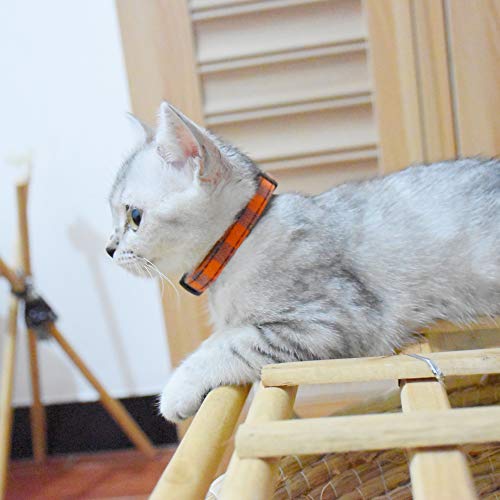 Image of Breakaway cat Collars with Bell, Set of 3, Durable & Safe Cute Kitten Collars Safety Adjustable Kitty Collar for Cat Puppy 7.5-11in (Black,Blue,Orange)