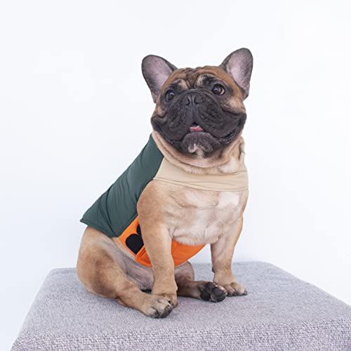 iChoue French Bulldog Frenchie Winter Coats Dog Jackets Cotton Padded Vests for Pug English Boston Terrier Pitbull – Green/Medium iChoue French Bulldog Frenchie Winter Coats Dog Jackets Cotton Padded Vests for Pug English Boston Terrier Pitbull – Green/Medium