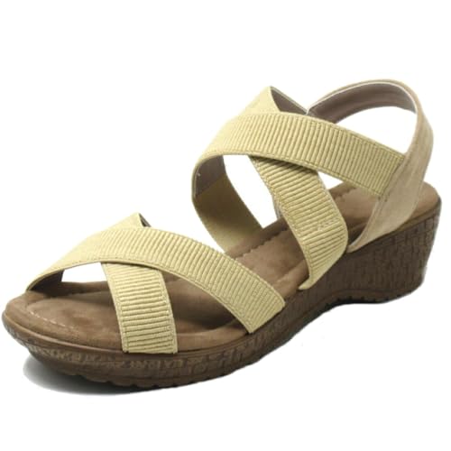 [kando] [Jh] 傫TCY L b fB[X NXC EFbW\[ T_ 08190W x[W 25.5cm