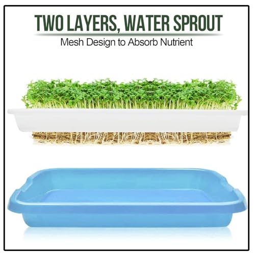 Image of Harvest House Germination Plastic Tray (Pack of 3) | Hydroponics Sprouter and Grass Growing Tray | Aquaponics Tray for Garden, Home and Office | Plant and Vegetables Growing kit Tray