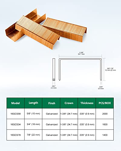 Meite 16Gcs34 Carton Closing Staples 16 Gauge 1-3/8-Inch Crown, 3/4-Inch, 1600-Piece Per Box (10 Boxes/1-Case Pack) #TOP2
