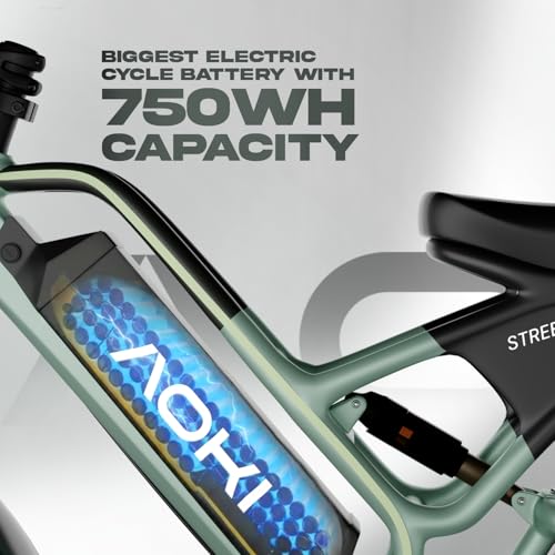 Image of Aoki Street Mamba Electric Bicycle | 48V 250W Motor | 105km Range | 15.8Ah Removable Battery | Dual Suspension | Colour LCD | NFC Smart Unlock | Vapor Green