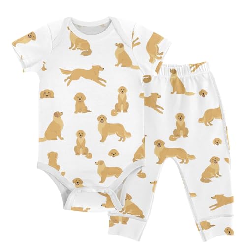 vvfelixl Baby Bodysuits Pants Sets Golden Retriever Dogs Short Sleeve Baby Clothes for Boys Girls 6M Goldies Puppy
